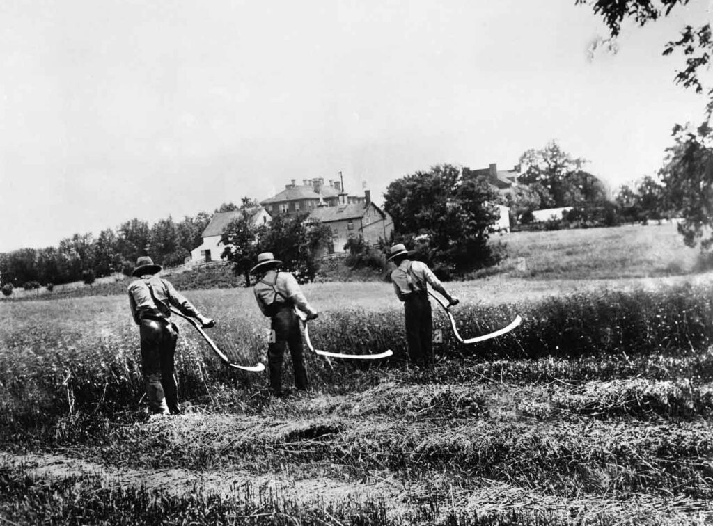 landwirtschaft-sensen